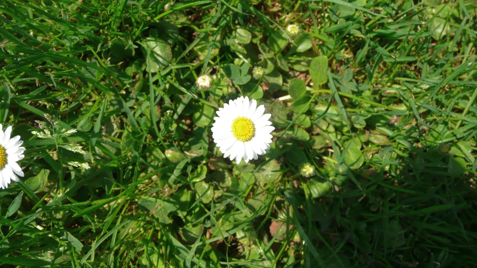 p1040482